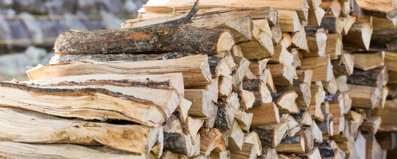 CONSOMMATION DE BOIS